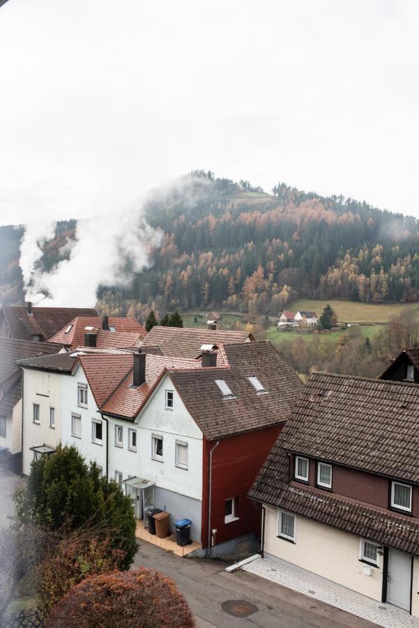شقة Haus Irene Gemuetlich Moderner Schwarzwald بيرسبرون المظهر الخارجي الصورة